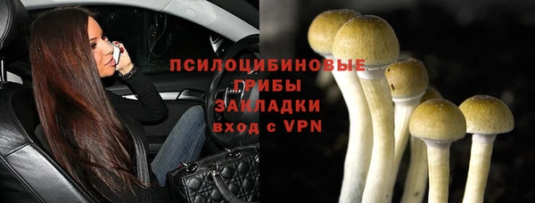 a pvp Арсеньев